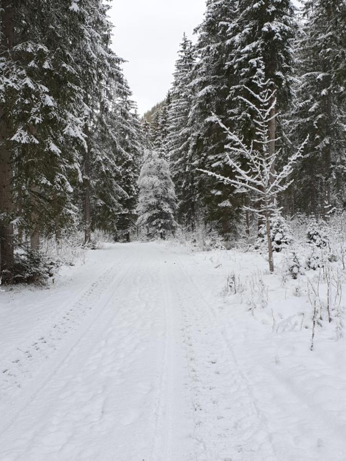 Ammerwald Alm Планзее Экстерьер фото