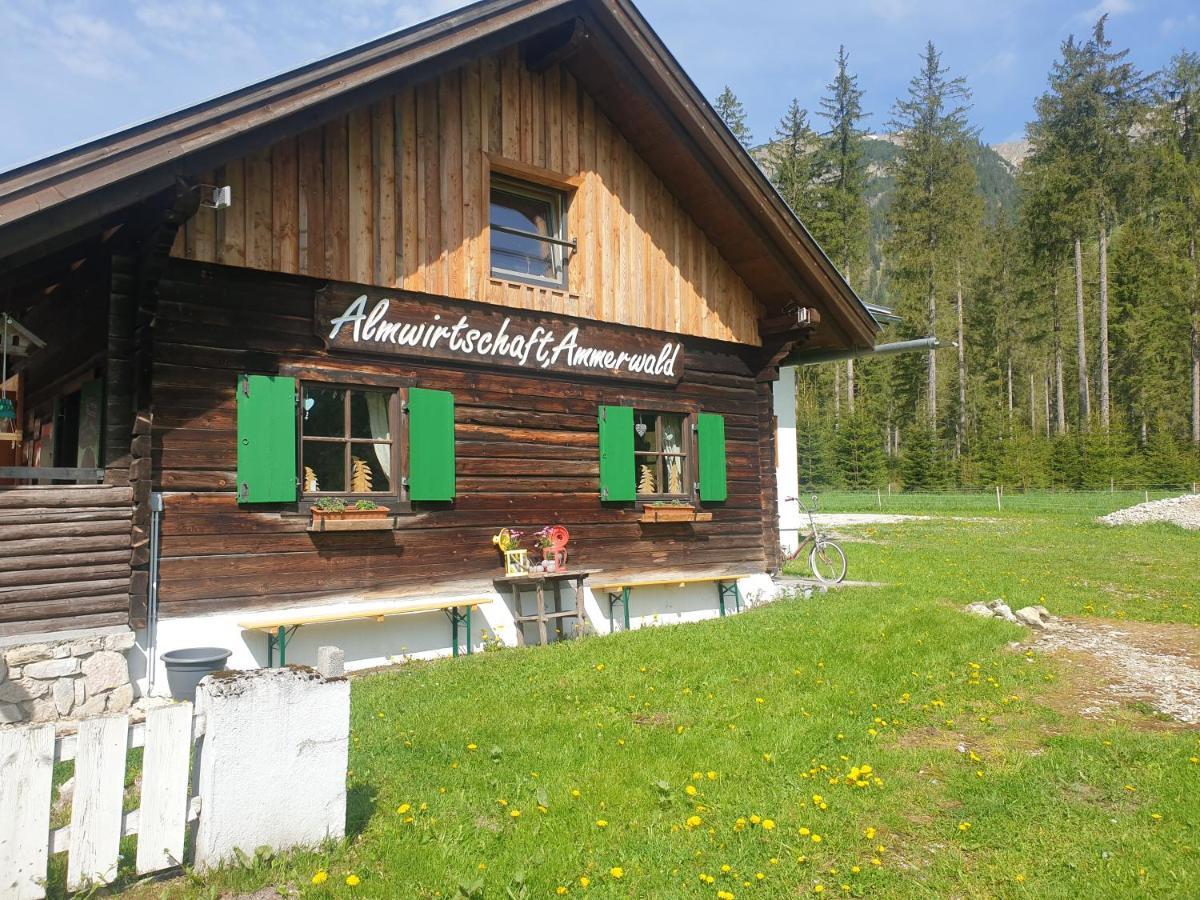 Ammerwald Alm Планзее Экстерьер фото